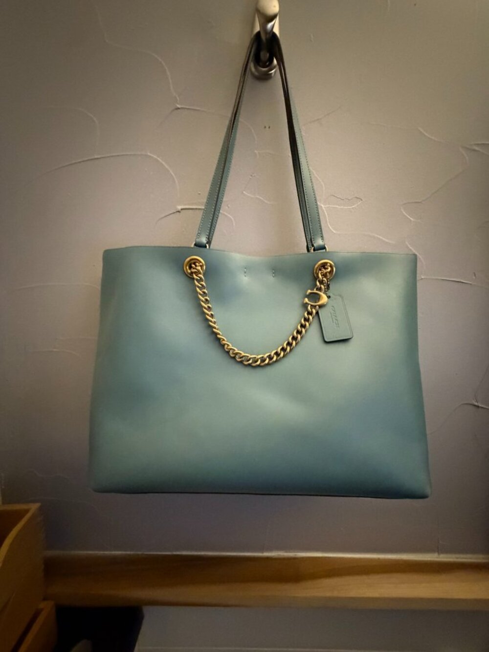 Coach Signature Chain Central Tote